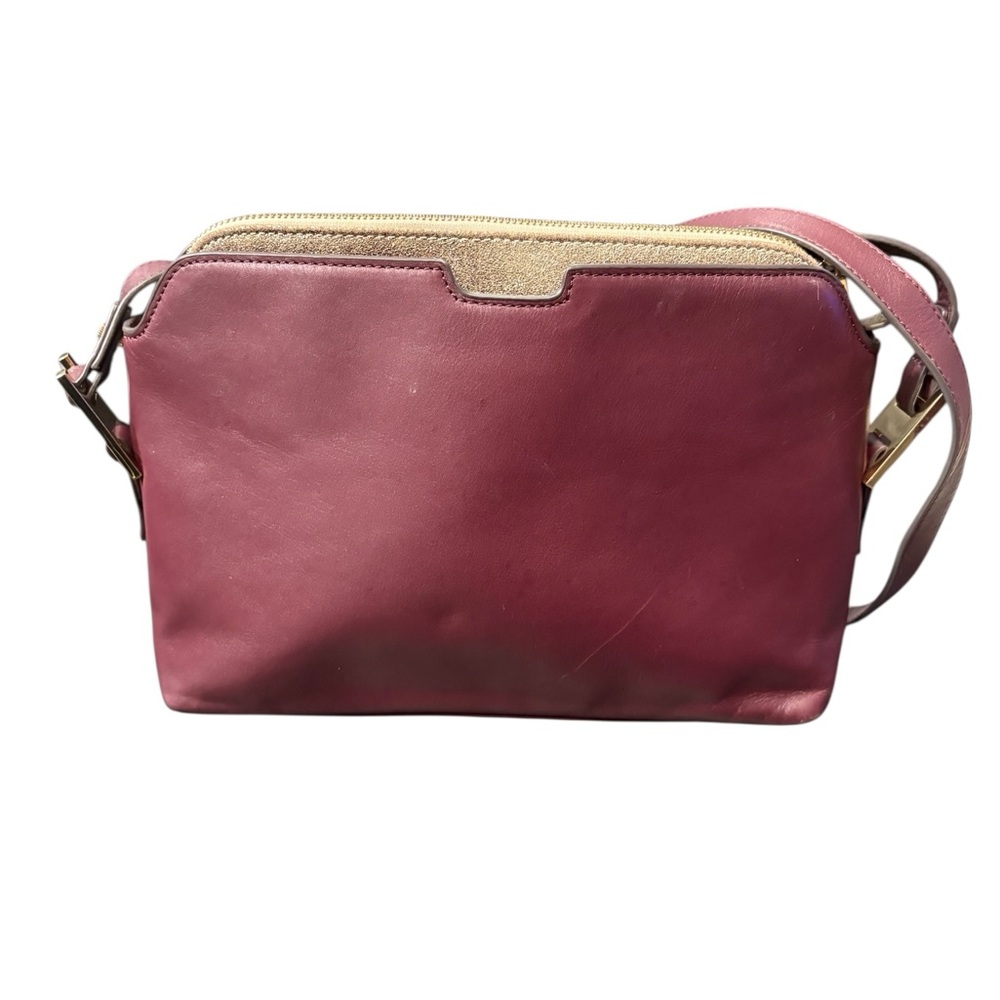 India Hicks Burgundy Crossbody Bag w/ Gold Glitter Insert Pouch Adjustable Strap